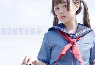 胡桃喵的图库推荐:精选全城最美的雏菊